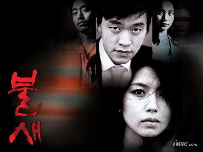 韩剧新进职员火了,“火鸟”到底是个啥?+