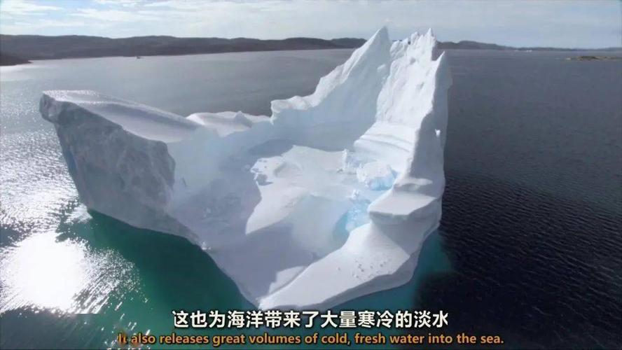 豆瓣上的《冰冻星球》纪录片,终于出了官方完整版了。+