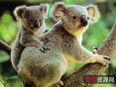 很多很多很多书