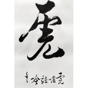 龙吟虎啸内硬护体功