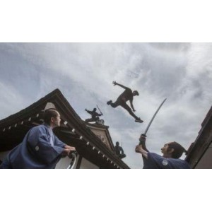 中华武术《轻功：飞檐走壁》经典分享