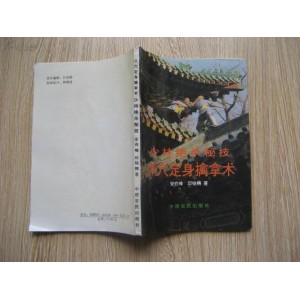 少林秘技：《七十二点穴擒拿术》分享