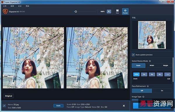 「Topaz+AI+Gigapixel+4.41」全球知名无损放大神器！即使将一寸照片放大数倍，清晰度依旧完好无损！