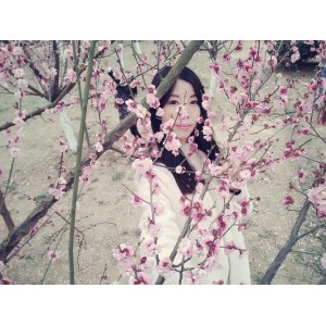 最新【Adobe+After+E...ts2022免激活版】人面桃花相映红的软件！