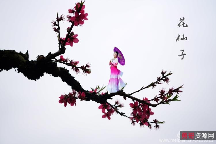 最新【Adobe+After+E...ts2022免激活版】人面桃花相映红的软件！