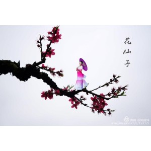 最新【Adobe+After+E...ts2022免激活版】人面桃花相映红的软件！