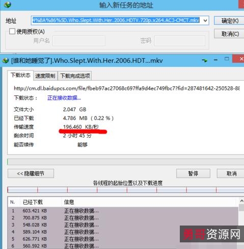 IDM下载器永久版