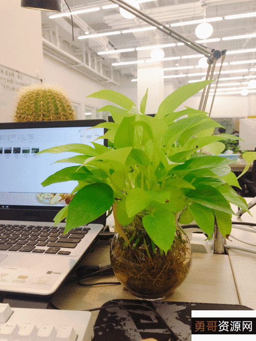 12月4最新版【IDM6.40.1.2+中文免激活绿色版】世界第一下载神器！