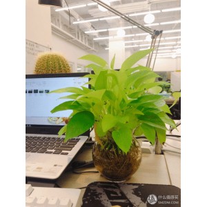 12月4最新版【IDM6.40.1.2+中文免激活绿色版】世界第一下载神器！