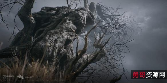 猩球崛起3部合集4KREMUX:最真实的画面,最真实的观影体验