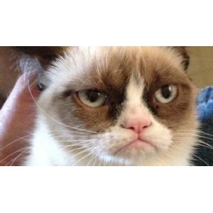 冷战下的恐怖：506哨所的雨夜