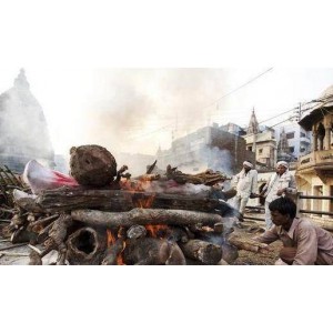 《尸骨工厂》：恐怖的儿童谋杀案、停尸房、僵尸、通灵师、警探、验尸官、搏斗