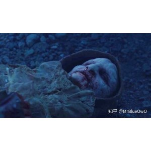 《异星灾变：为家人抉择的勇气》