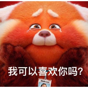 2022年上映！1080PHD高清质量《青春变形记/TurningRed》——小熊猫Mei的超能力拯救家乡！