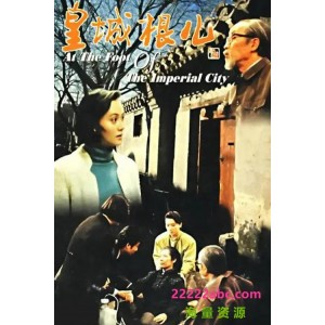 《2022落花时节：家庭力量的温馨励志故事》