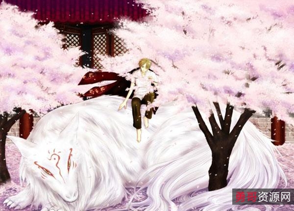 夏目友人帐第一季：阿里云盘、APP视频资源及倍速播放