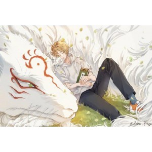 夏目友人帐第一季：阿里云盘、APP视频资源及倍速播放