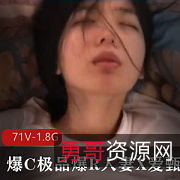 精选妻子X爱甄选！完美露脸，PAPA，Y荡，爆R，91，推特经典资源，71V，1.8G