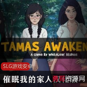 《欧美手绘风格SLG游戏:助眠家人》