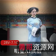 明星AI换脸视频合集，28个7.1G大片下载