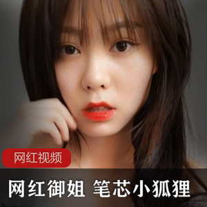 网红御姐笔芯小狐狸作品十一部