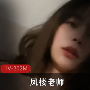 凤楼老师：技术经验展示视频