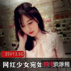 高颜值网红少女宛如舞蹈合集，35套13.5G视频