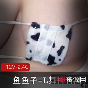 巨型抖音舞蹈球鱼鱼子最新合集12V2.4G，自拍安全带提醒