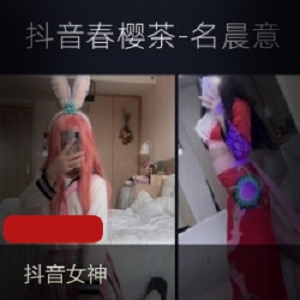 春樱茶晨意爆款视频合集78V18G抖音超绝珍藏