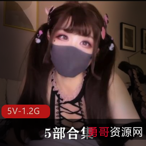 推特女仆周榜羞羞合集5V1.2G