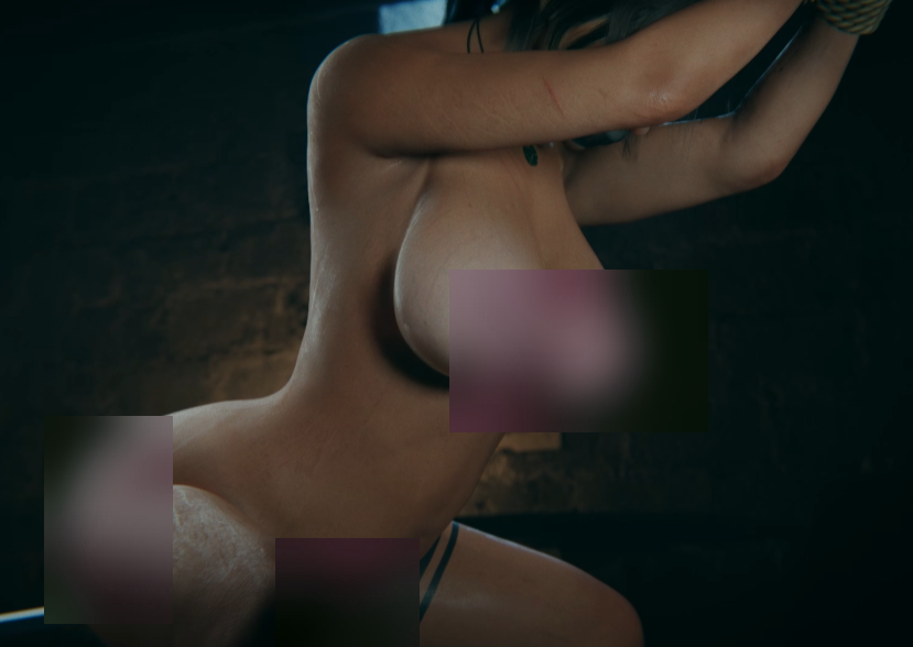 Wildeer劳拉囚禁劲爆合集17部2.42G