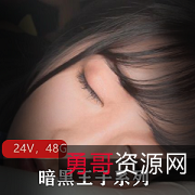 劲爆暗黑王子合集日系视频24部48.2G