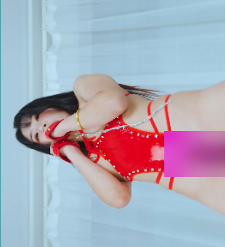 晨晨火辣艺舞吧丝袜热舞合集14部7.81G