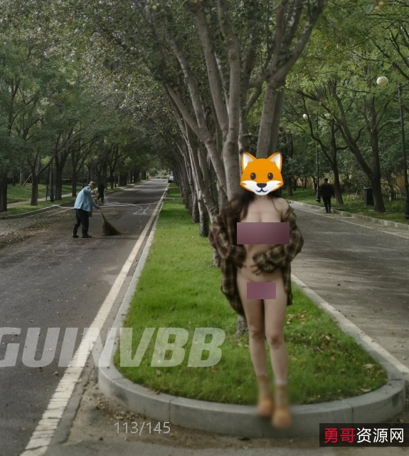 小狐狸DAGUINV推特合集感觉展示74MB优质珍藏